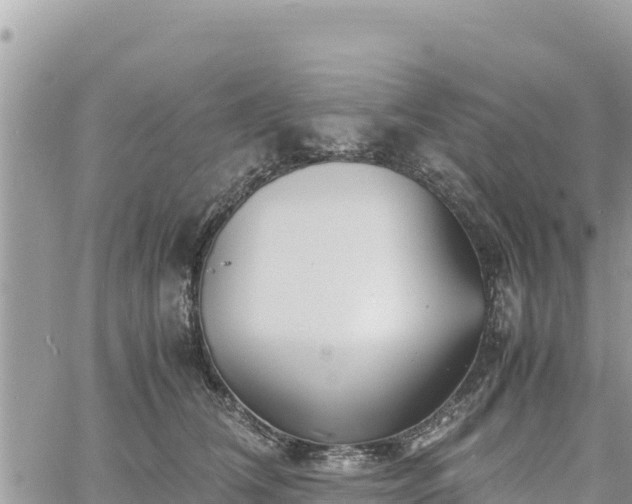 X0000060750612200511171124