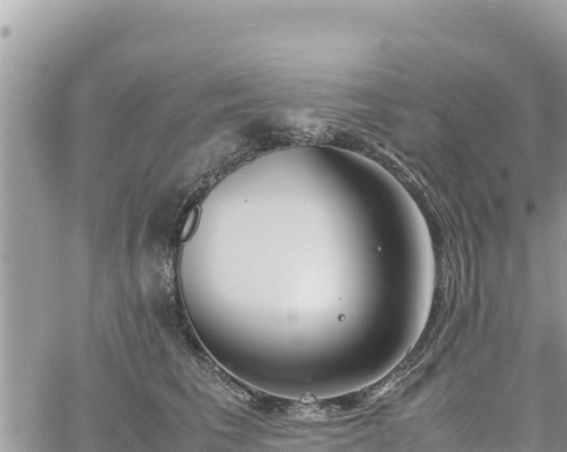 X0000060750613200511171124