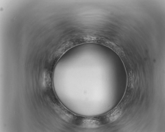 X0000060750614200511171124