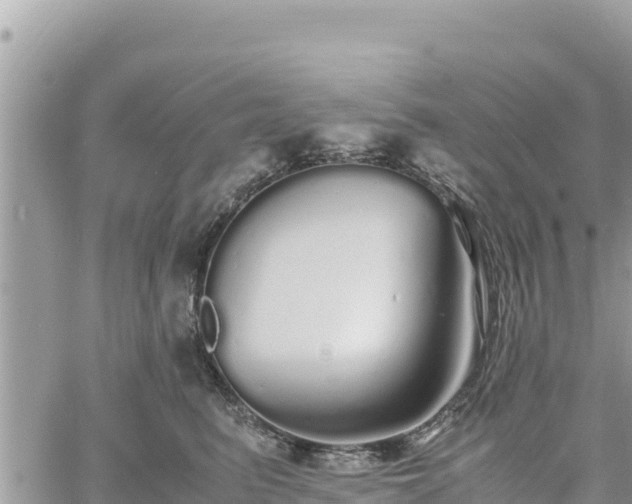 X0000060750615200511171124