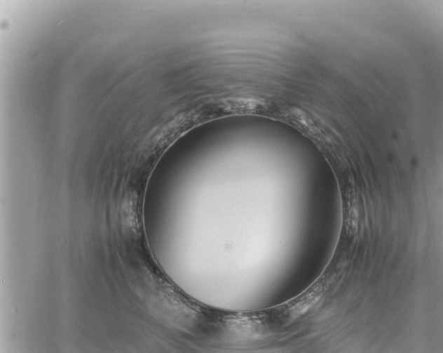 X0000060750616200511171124