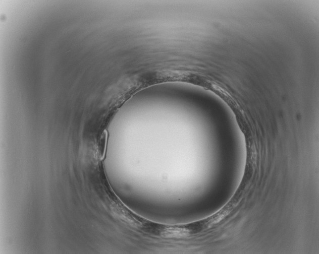 X0000060750617200511171124