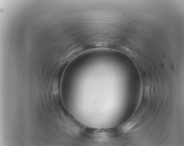 X0000060750620200511171124