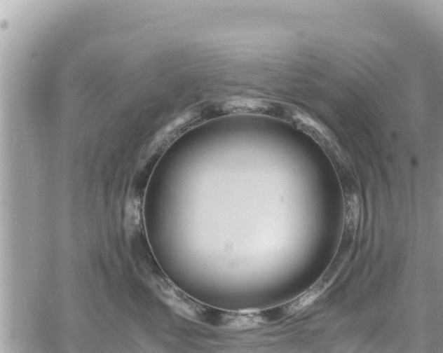 X0000060750621200511171124