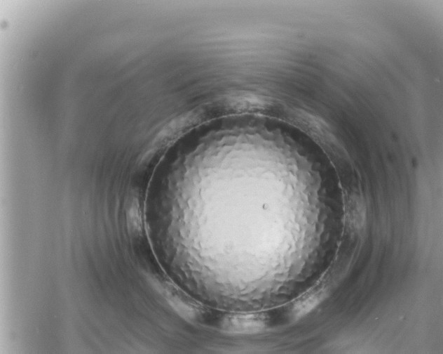 X0000060750622200511171124