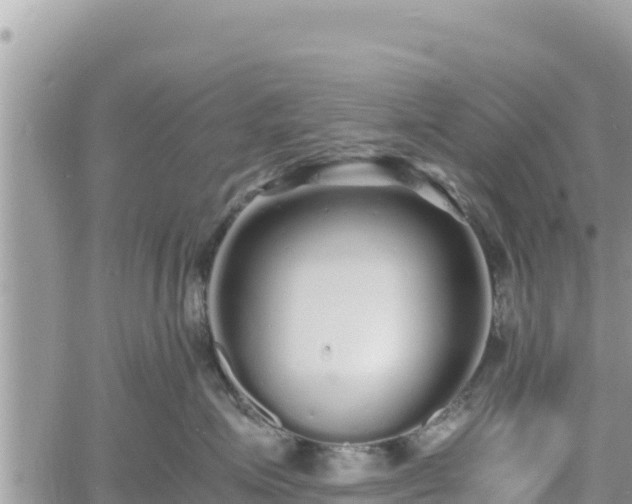 X0000060750623200511171124