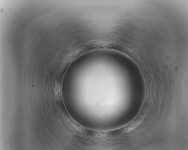 X0000060750624200511171124