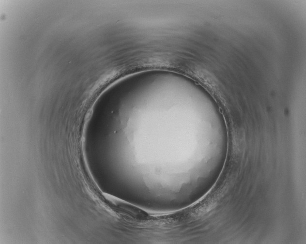 X0000060750625200511171123