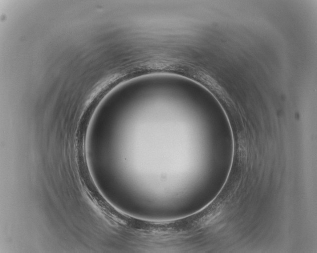 X0000060750626200511171123