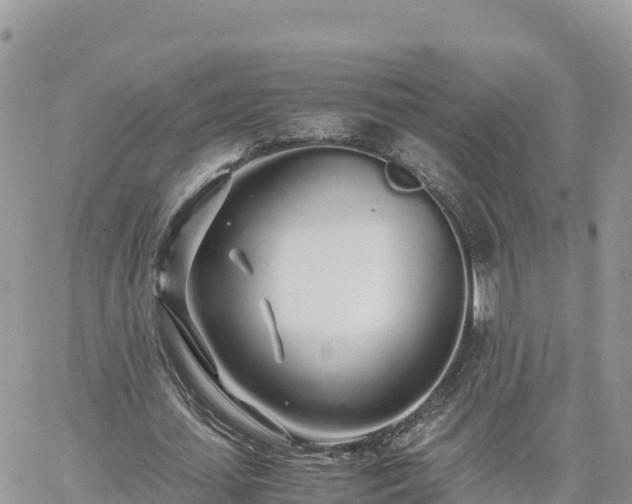 X0000060750627200511171123