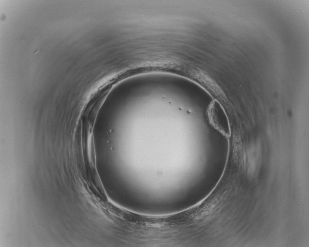 X0000060750628200511171123