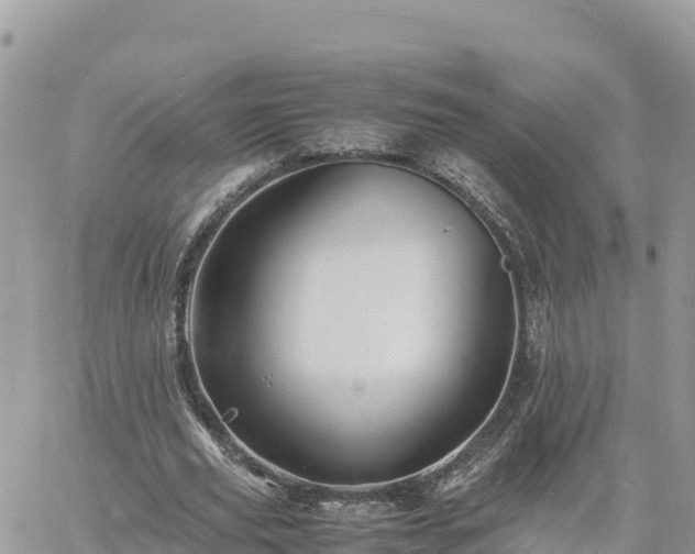 X0000060750629200511171123