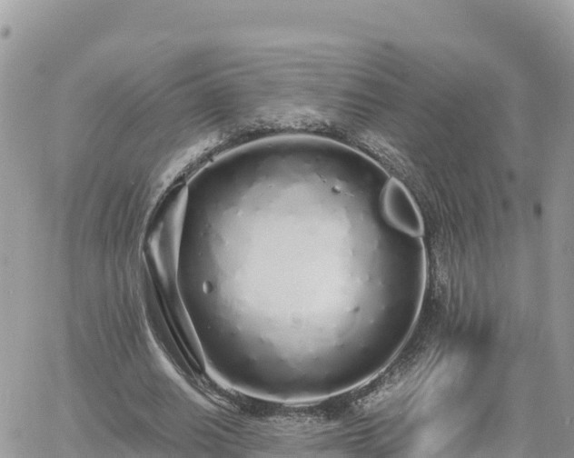 X0000060750630200511171123