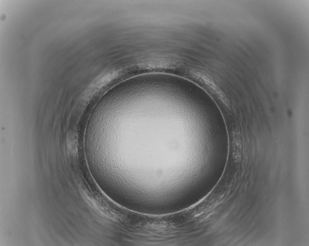 X0000060750631200511171123