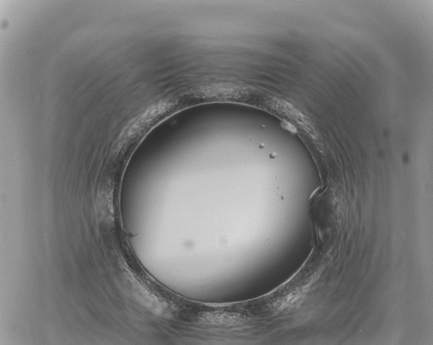 X0000060750633200511171123