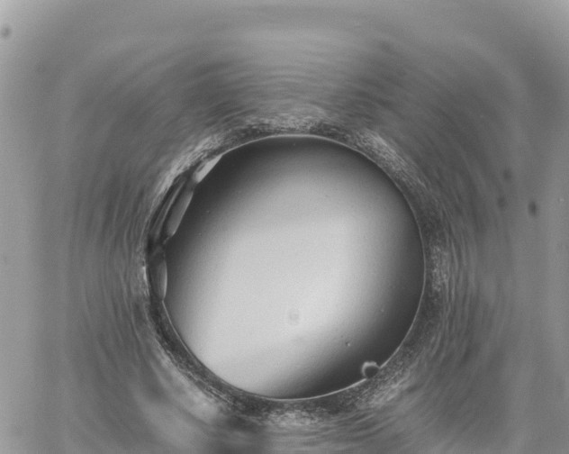 X0000060750634200511171123