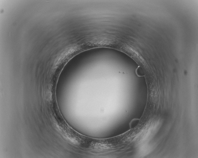 X0000060750635200511171123