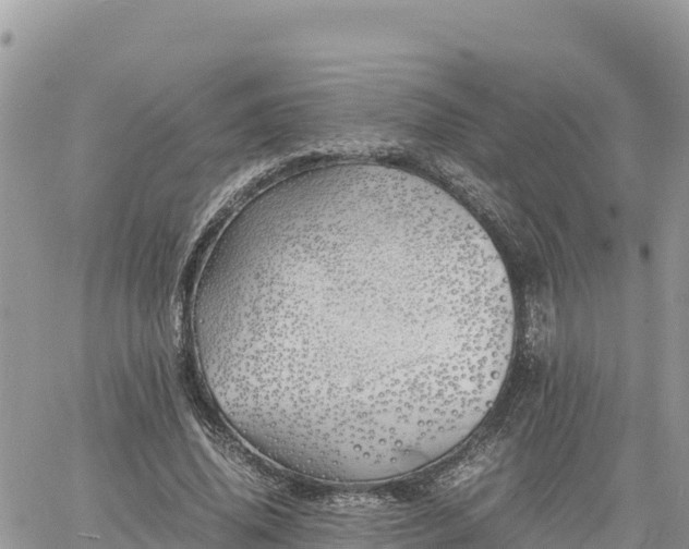 X0000060750636200511171123