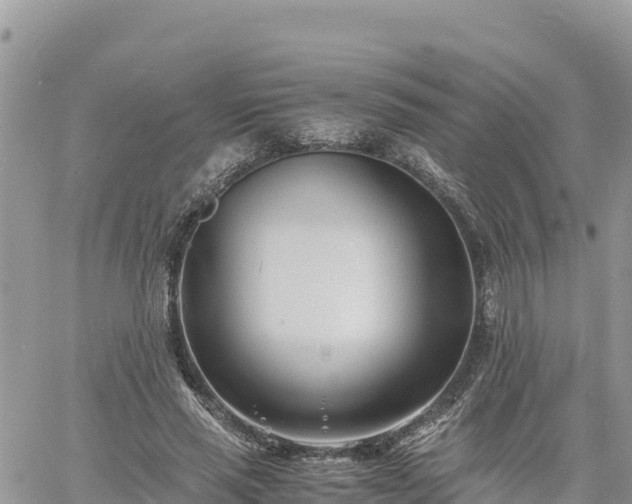 X0000060750637200511171123