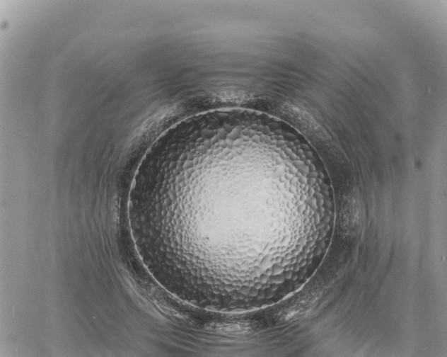 X0000060750639200511171123