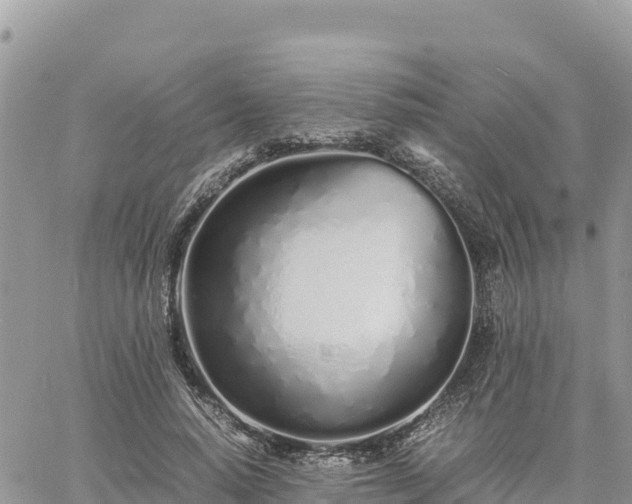 X0000060750640200511171123