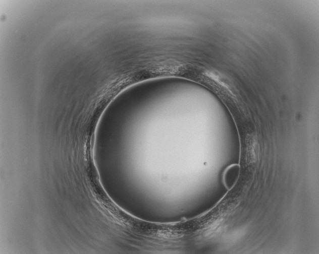 X0000060750641200511171124