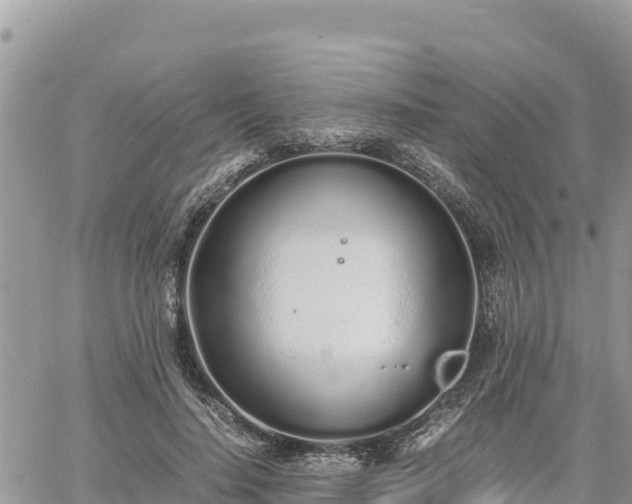 X0000060750644200511171124