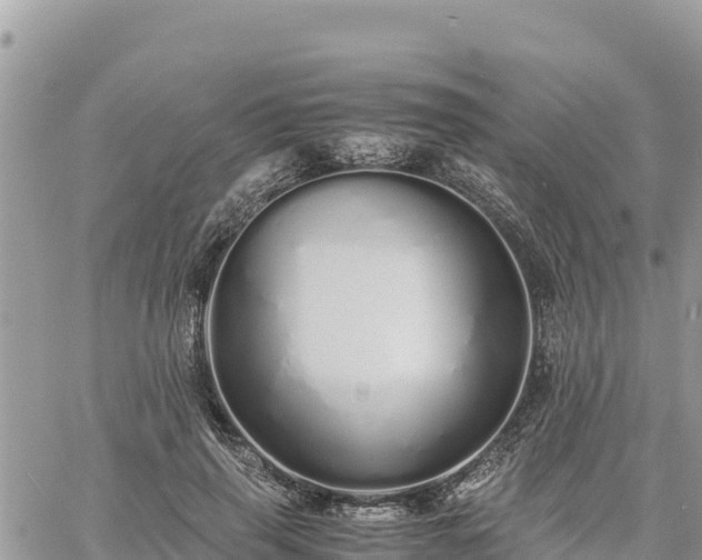 X0000060750645200511171124