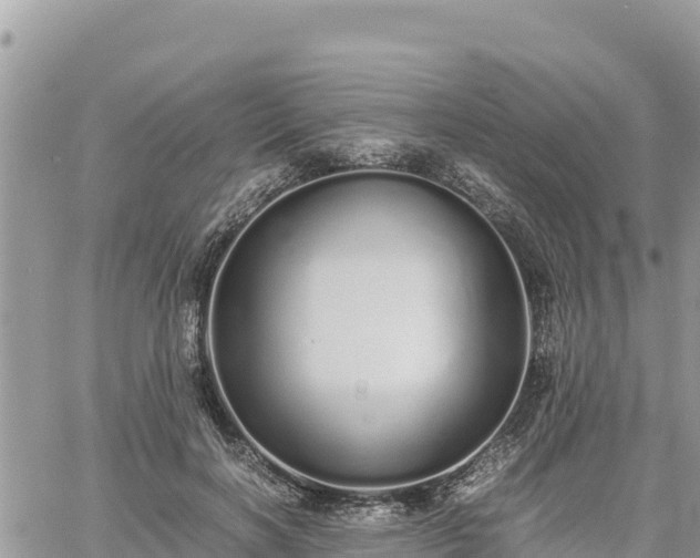 X0000060750646200511171124