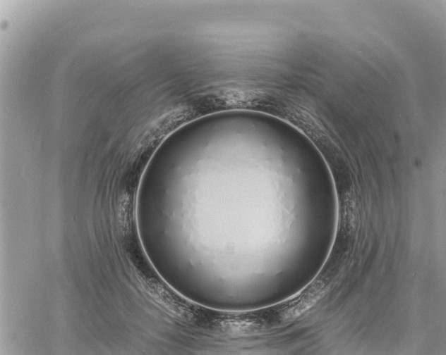 X0000060750650200511171124