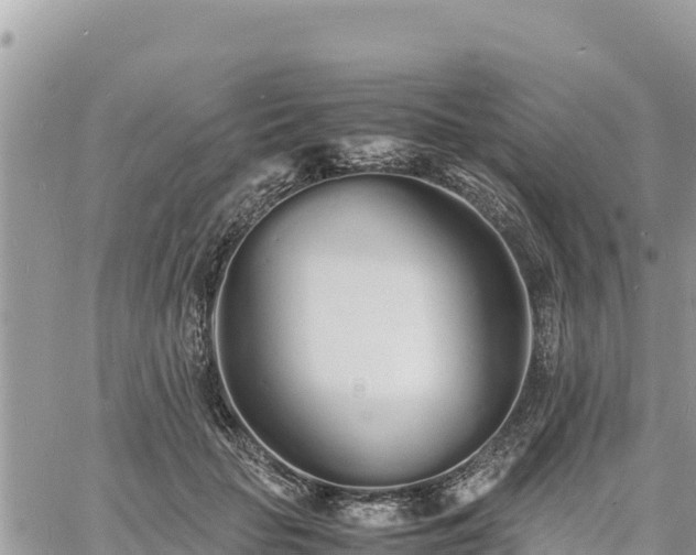 X0000060750653200511171124