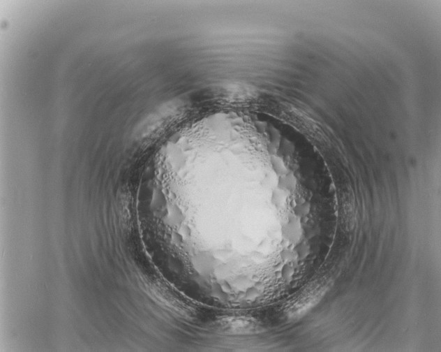 X0000060750654200511171124