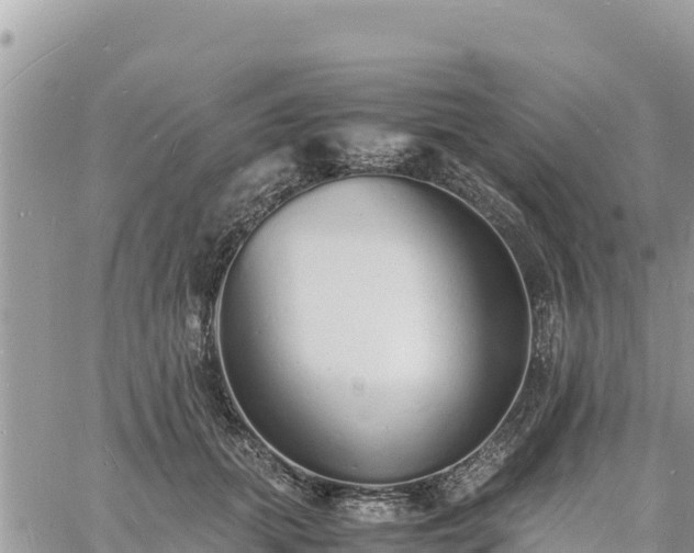 X0000060750655200511171124