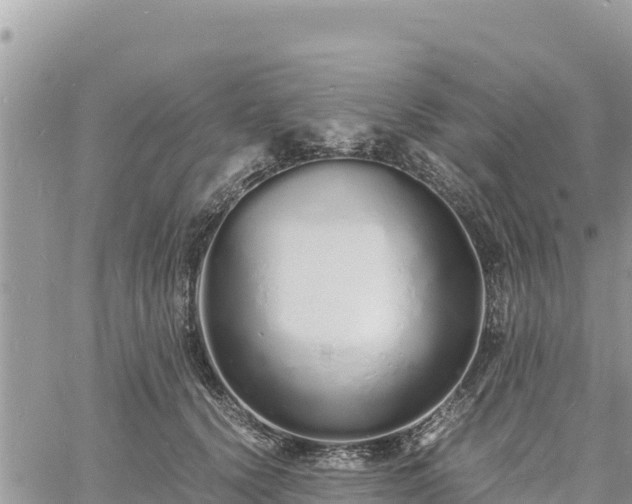 X0000060750656200511171124