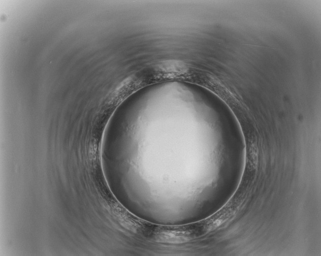 X0000060750657200511171124