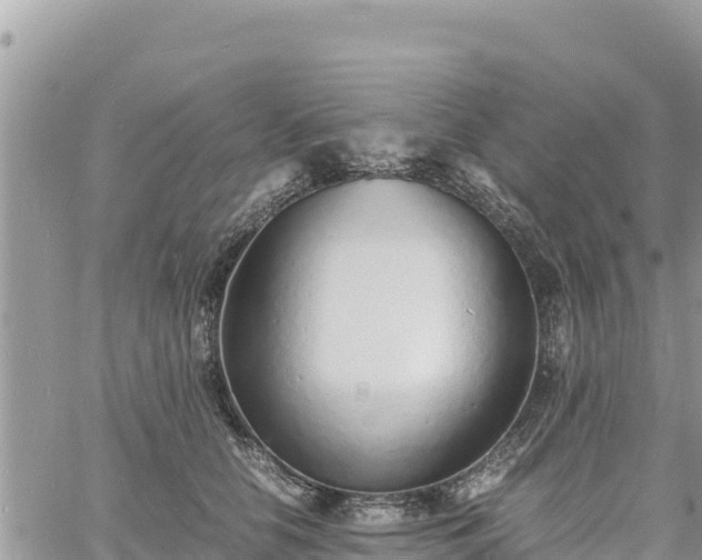 X0000060750658200511171124