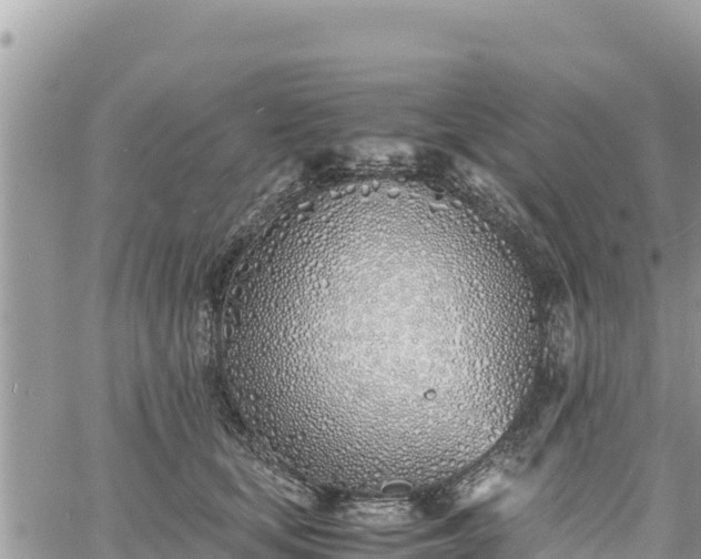 X0000060750659200511171124