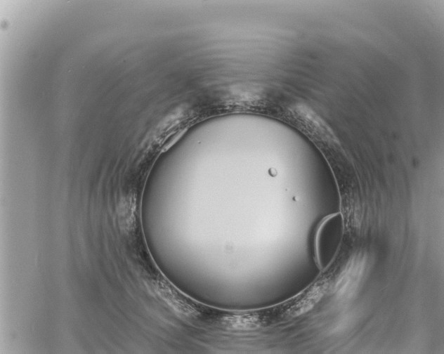 X0000060750660200511171124