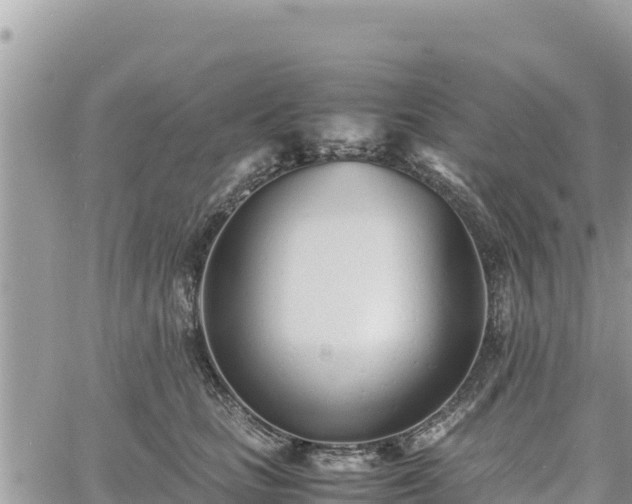 X0000060750661200511171124