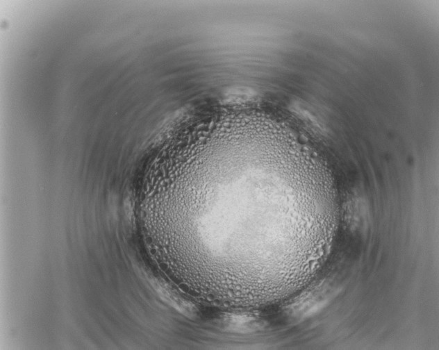 X0000060750662200511171124