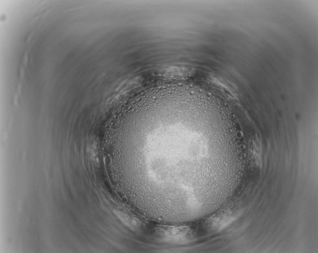 X0000060750663200511171124