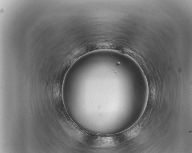 X0000060750665200511171124