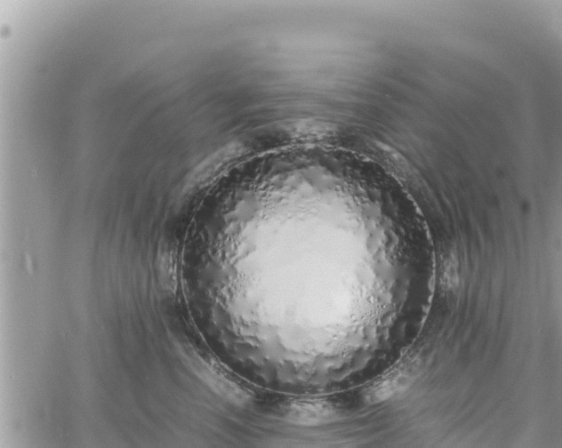 X0000060750666200511171124