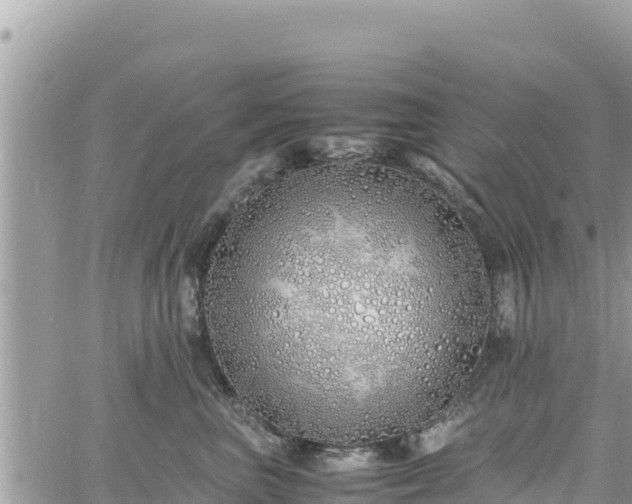 X0000060750667200511171124