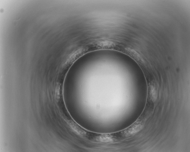 X0000060750668200511171124