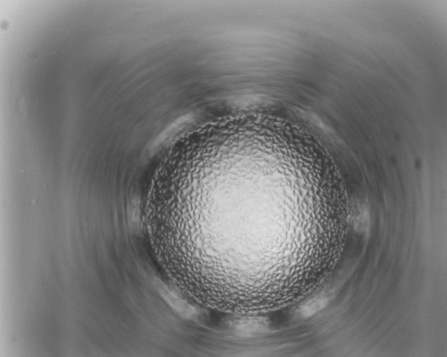 X0000060750670200511171124