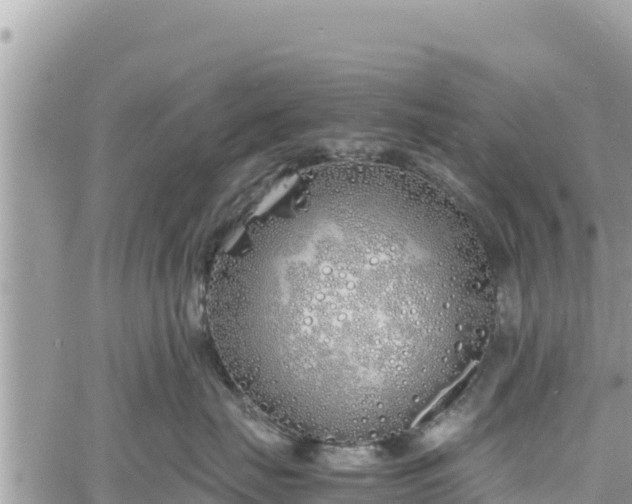 X0000060750671200511171124