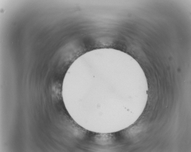 X0000060750672200511171124