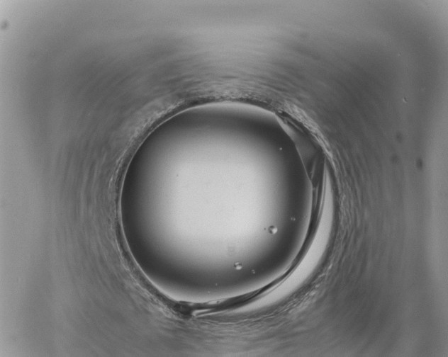 X0000060750673200511171123