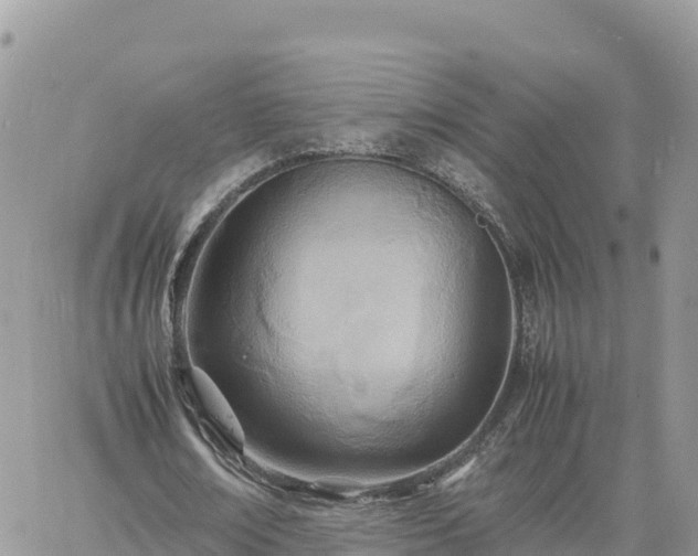 X0000060750674200511171123